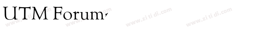 UTM Forum字体转换
